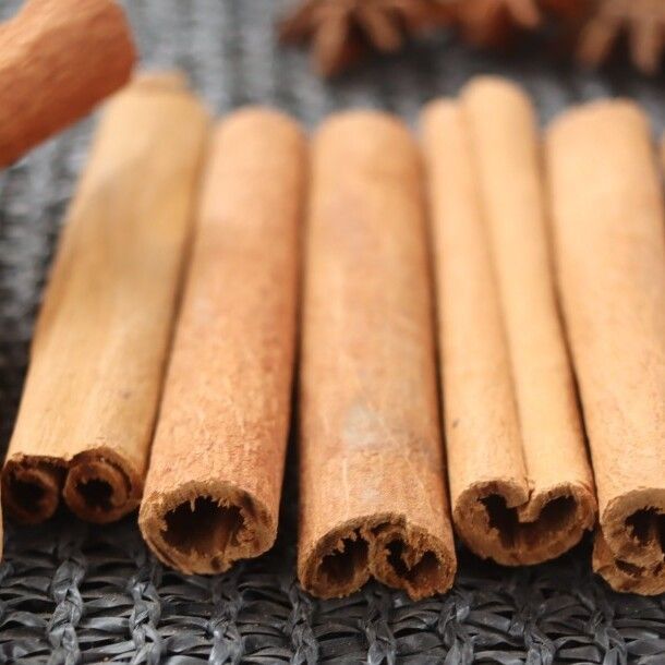 Cinnamon Stick