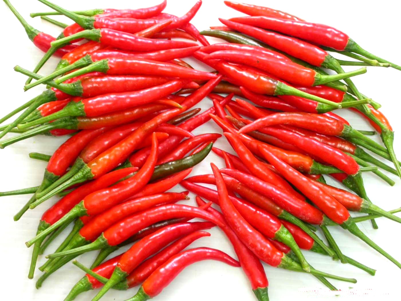 FRESH CHILLI - ElmarSpices Company