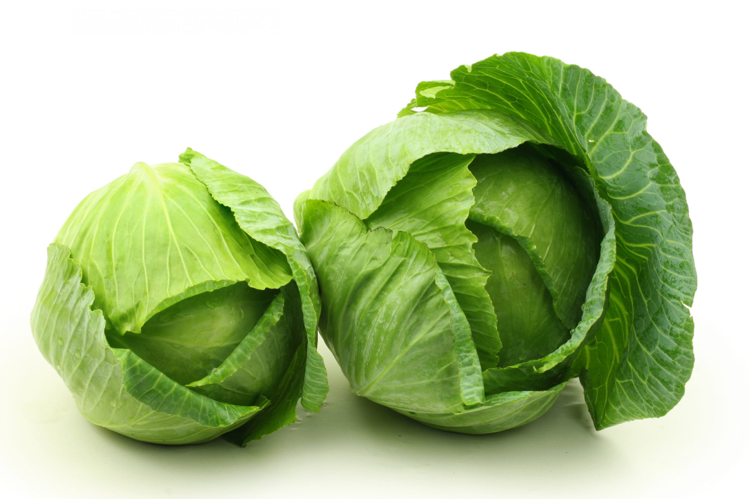 fresh-cabbage-elmarspices-company