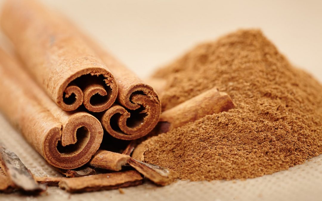 PRICE CINNAMON STICK IN VIETNAM COMPARE WITH CEYLON FROM SRILANKA