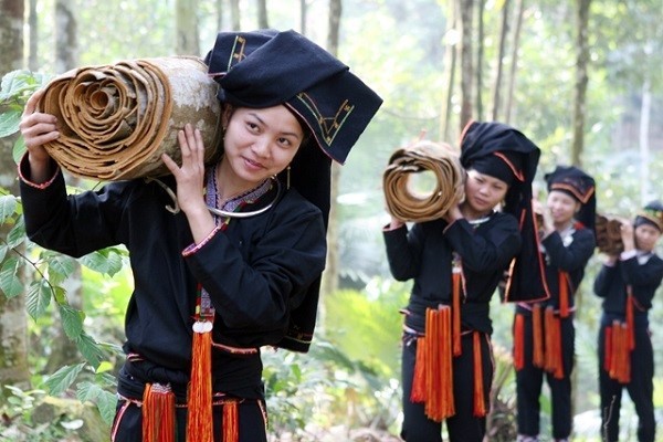 VIETNAM CINNAMON, STAR ANISE