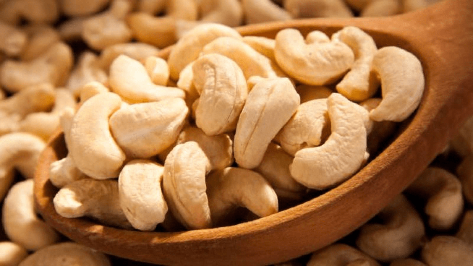 manufacturer of cashew nuts