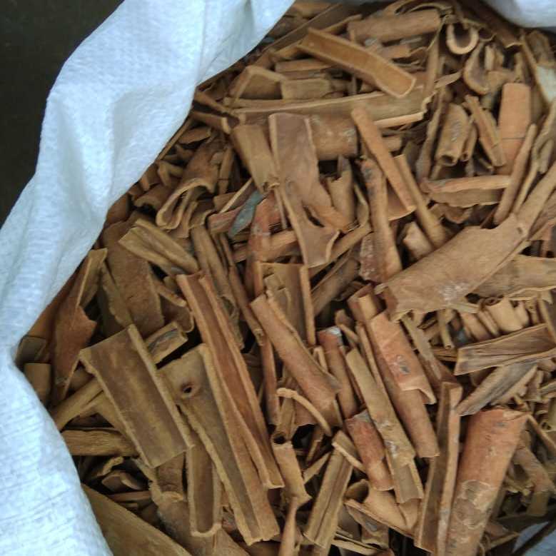 Quality inspection of broken cassia at a certified facility