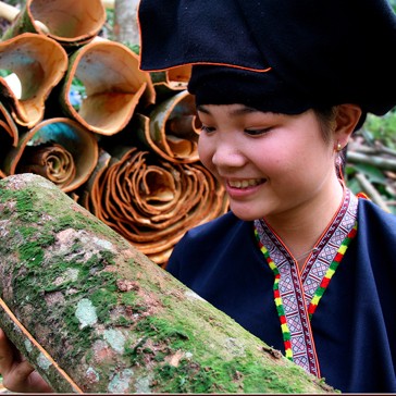 CINNAMON STORY WITH MOUTAIN PEOPLE