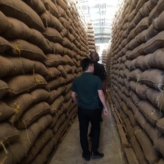 raw cashew nut buyers