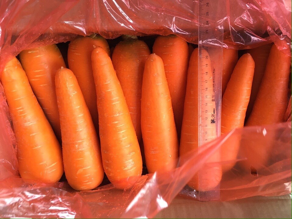 VIETNAM FRESH CARROT ElmarSpices Company