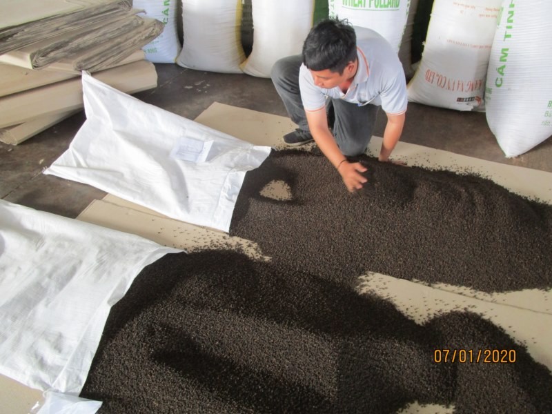 INCREASED PRICE OF VIETNAM BLACK PEPPER IN MAY/JUNE 2020