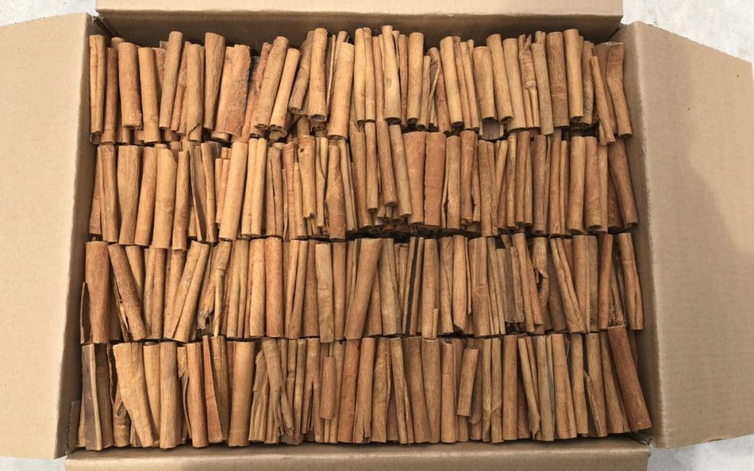 EXPORTING VIETNAM CINNAMON IN 2020