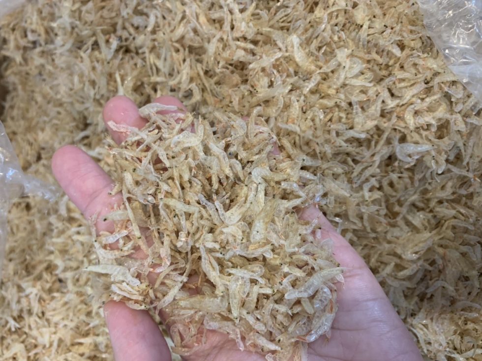 DRIED BABY SHRIMP CHEAP PRICE SHRIMP FROM VIETNAM