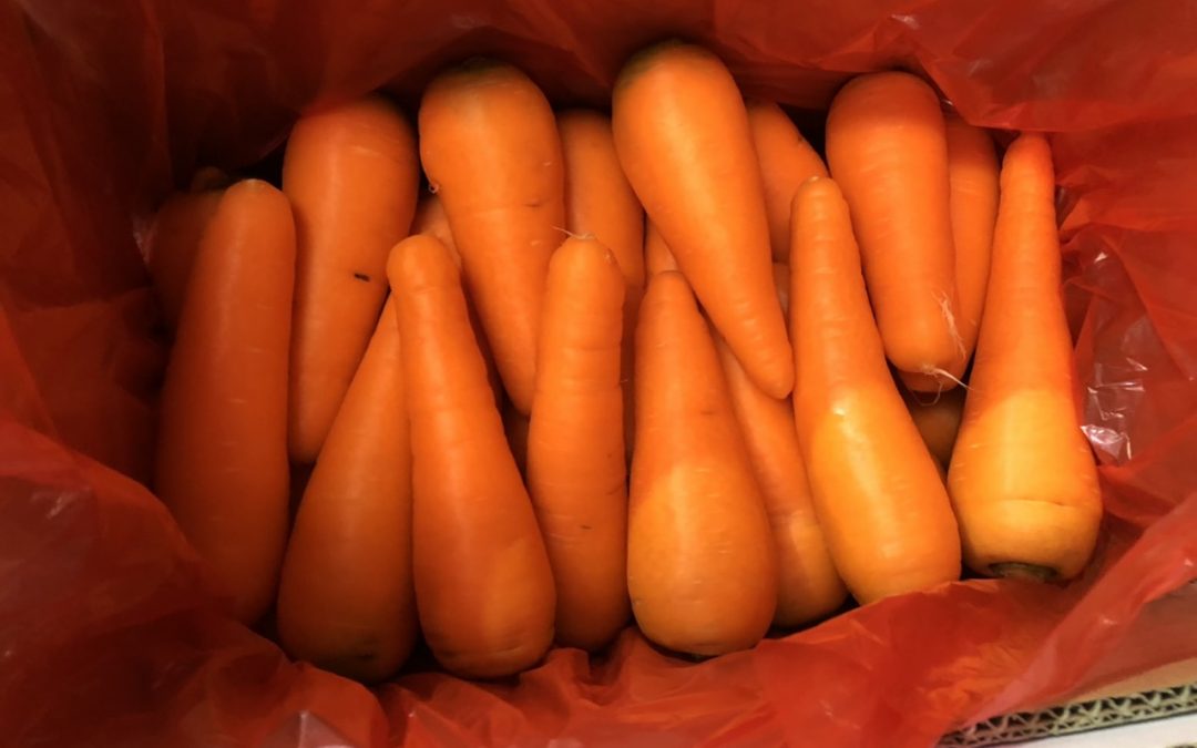 KOREA BANNED IMPORTING CARROT FROM VIETNAM