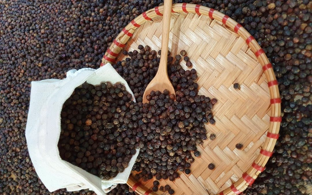 NEW CROP OF VIETNAM BLACK PEPPER