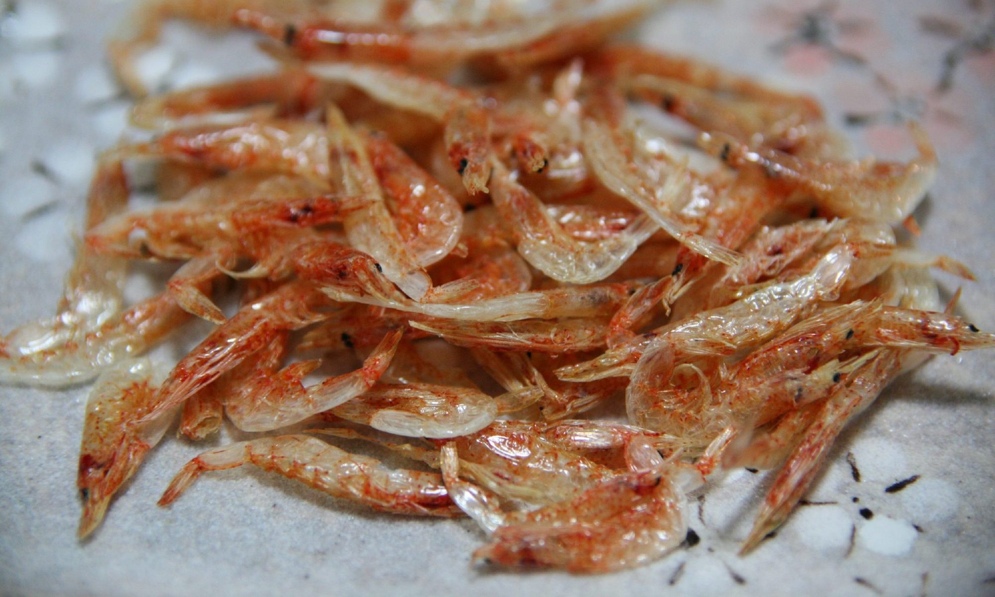 THE PRICE OF DRIED BABY SHRIMP IN SEASON 2021