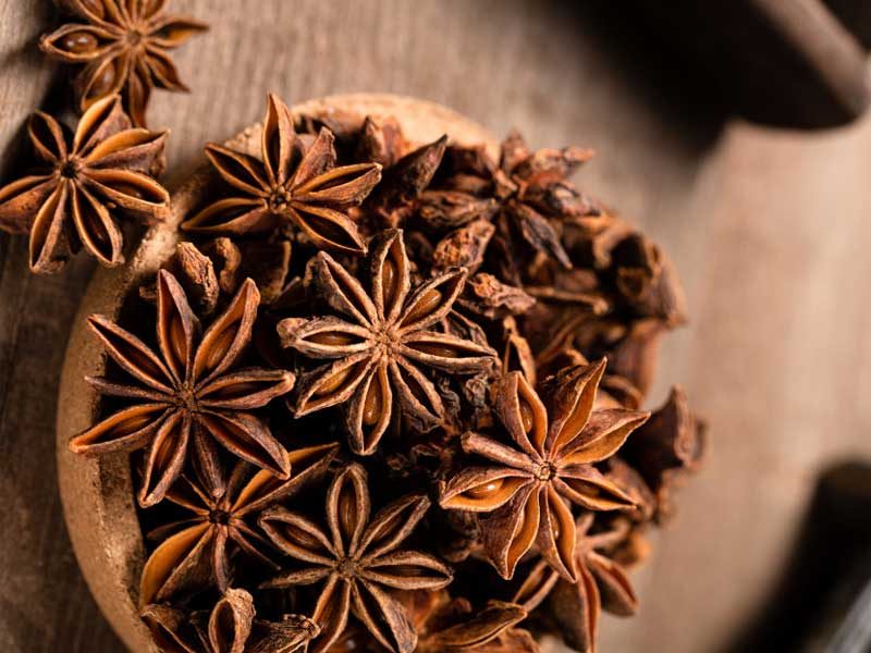 GROWING ORGANIC STAR ANISE IN VIETNAM