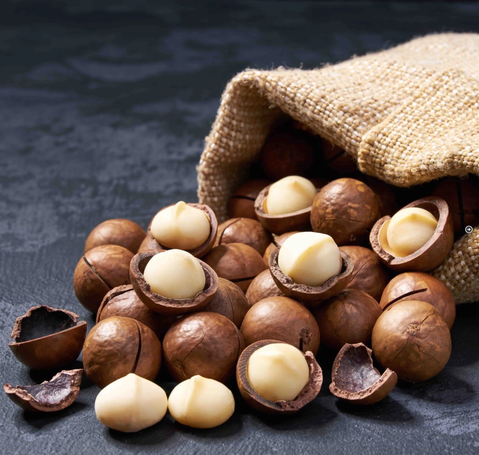 DEVELOPING VIETNAM’S MACADAMIA INDUSTRY IN AN EFFICIENT AND SUSTAINABLE WAY