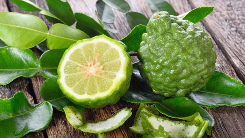 THAI LIME OR KAFFIR LIME – THAILAND’S SPECIAL SPICE