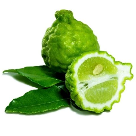 THAI LIME OR KAFFIR LIME – THAILAND’S SPECIAL SPICE