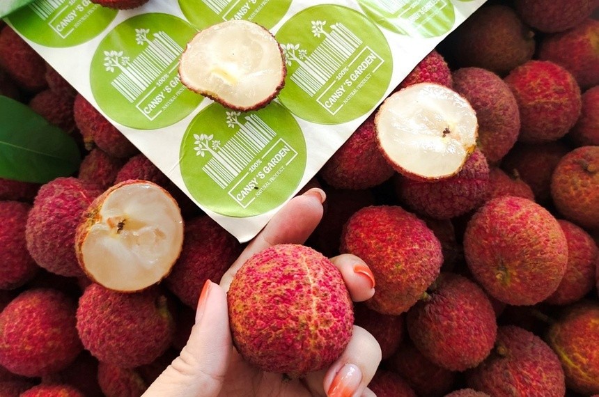 What Is Lychee Fruit?